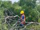 Asambleísta Jhajaira Urresta inicia fiscalización ante tala de manglar en Olón