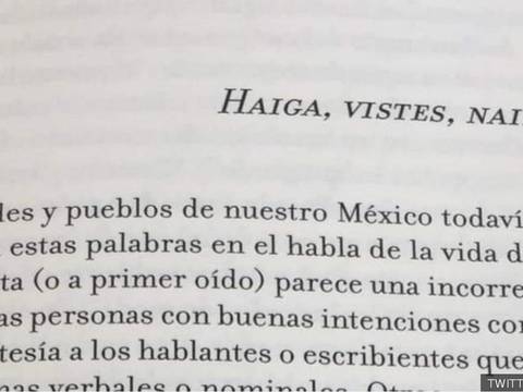 "Haiga" está aceptada por la Real Academia Española (pero no significa lo que estás pensando)