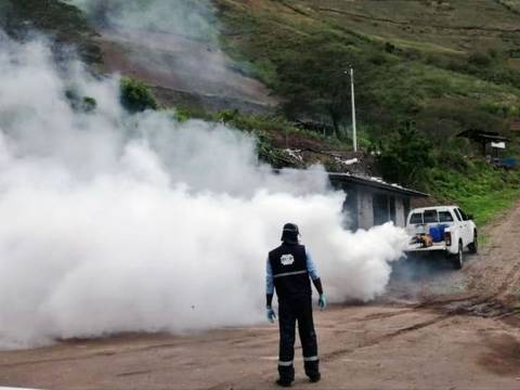 Once casos de dengue se detectaron en Carchi