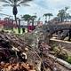 Operarios retiran árbol que cayó sobre los juegos infantiles del Malecón Simón Bolívar   