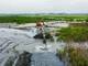 1’300.000 m³ de sedimentos se han removido del río Guayas con dragado