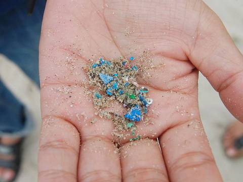 Microplásticos en Galápagos, enemigos poderosos que podrían acabar con decenas de especies