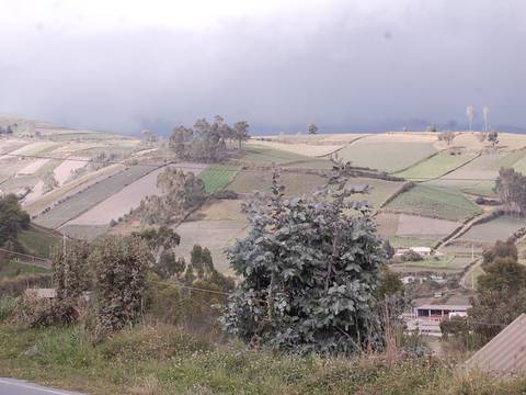 Cultivos afectados por actividad del volcán Tungurahua
