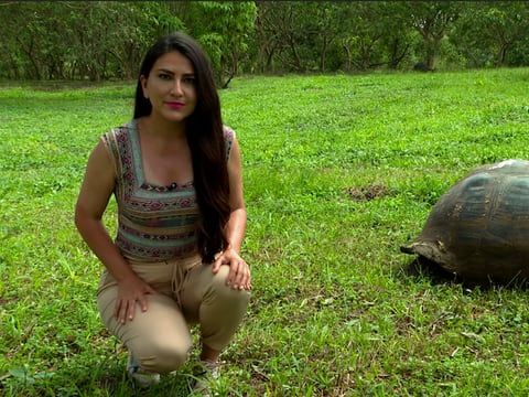 Documental ‘Galápagos: entre el peligro y la esperanza’, producido por CNN en Español, recibió el premio Eugenio Espejo