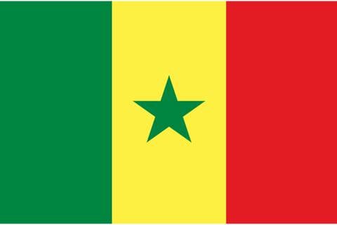 Conozca qué significa Senegal, entre otros datos del país africano cuya selección enfrentará a Ecuador mañana