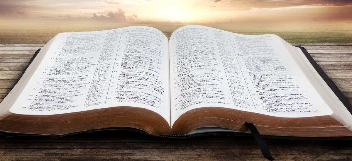 Domingo de la palabra de Dios', día dedicado a la Biblia | Internacional |  Noticias | El Universo