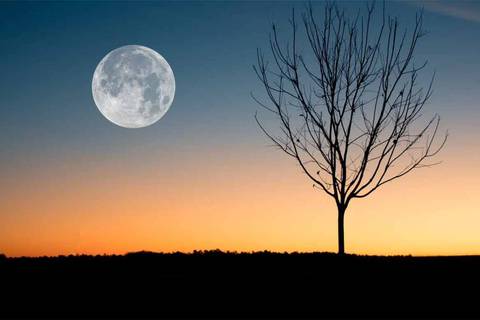 ¿Cuándo es la Luna de las Flores y por qué recibe este nombre la Luna Llena de mayo?