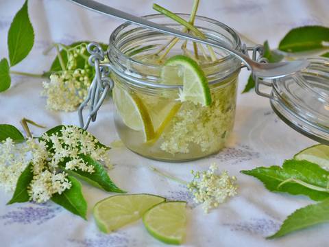 Cómo se prepara el té de flor de sauco para aliviar la tos y la gripe