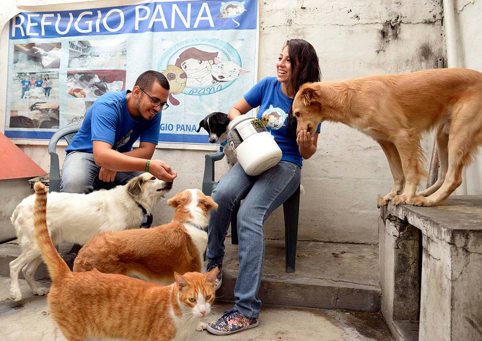 De eventos y donativos subsiste el rescate de animales sin hogar |  Comunidad | Guayaquil | El Universo