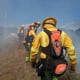 Dos incendios forestales y uno estructural hubo en Quito este jueves 20 de julio