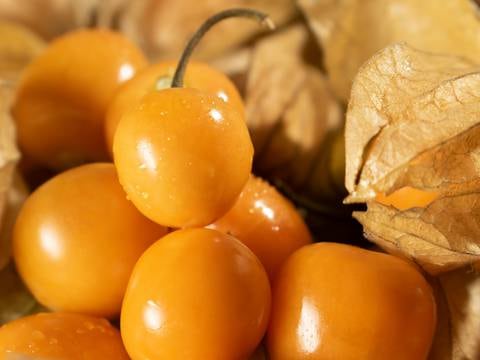 Bayas doradas o frutas del amor: un superalimento que cuida tu corazón y puedes comer de esta manera
