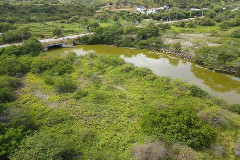 Proyecto inmobiliario en Oloncito no se tramitó en gobierno de Guillermo Lasso, aclara exministro del Ambiente José Dávalos