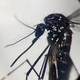 Impacto del brote de dengue en los países de América Latina