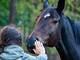 “Los caballos no juzgan ni miran diferente a los chicos”: así ayuda la equinoterapia a niños con trastorno del espectro autista o parálisis cerebral