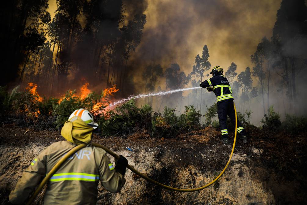 Incêndio florestal no centro de Portugal mobiliza mais de 400 bombeiros |  Internacional |  Notícias