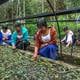 Polylepis, el árbol andino con el que se busca regenerar los páramos en Ecuador