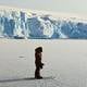 El “sorprendente” cambio en la Antártida que preocupa a los expertos