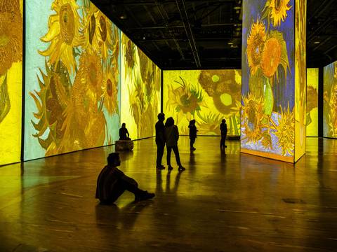 ‘Imagine Van Gogh’: en un espacio de 1.600 metros cuadrados se construirá el pabellón para la muestra que llega a Ecuador en octubre