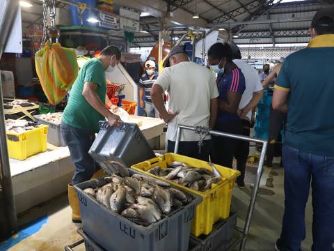 Algunas variedades de pescados y mariscos registran leves alzas en precios