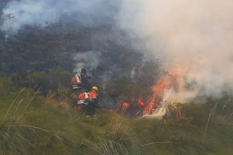 Incendio consumió 30 hectáreas de flora y fauna de parque Los Llanganates