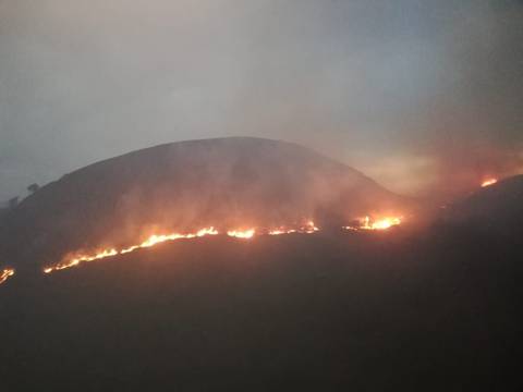 Incendio afectó más de 50 hectáreas en la zona montañosa del cantón Chilla