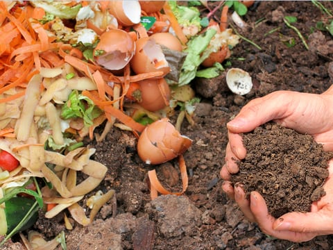 ¿Cómo hacer compost o abono casero?