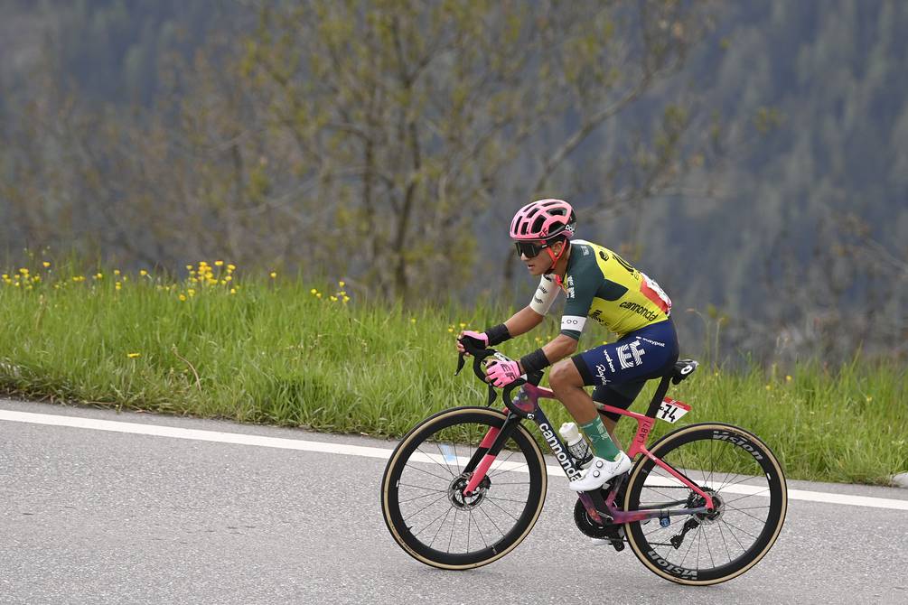 ‘Non ci arrenderemo’, avverte Alexander Cepeda dopo il terzo posto nella 13a tappa del Giro d’Italia |  Altri sport |  gioco
