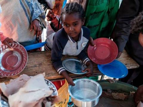 La devastadora hambruna creada por el hombre en Tigray