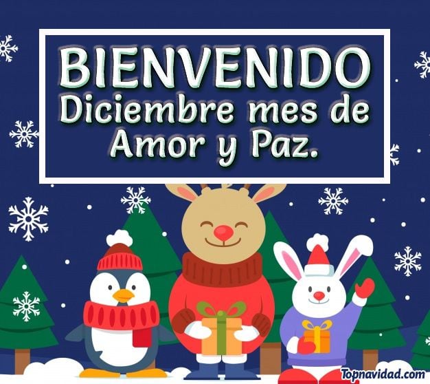 Las mejores imágenes y frases de 'Bienvenido, diciembre' en este 2022 |  Sociedad | La Revista | El Universo