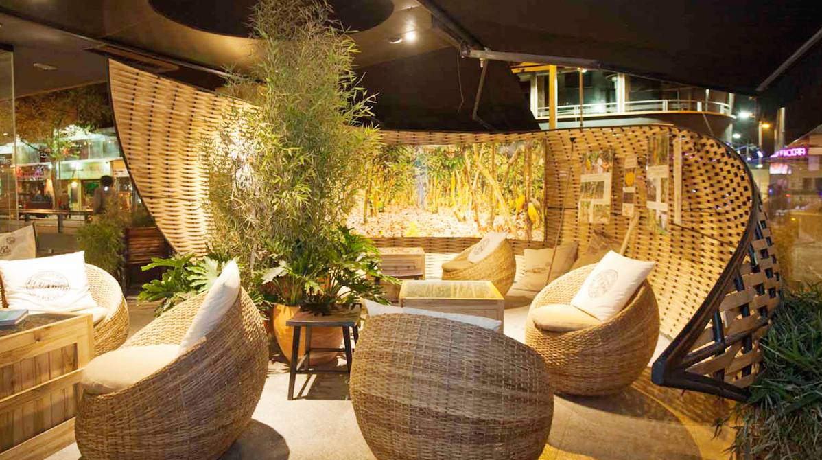 décoration d'intérieur avec des plantes de bambou  Decoración de unas,  Diseño de jardines interiores, Decoracion de pasillos