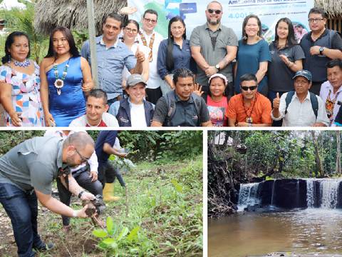 Bosques degradados en Sucumbíos y Orellana fueron sometidos a restauración forestal
