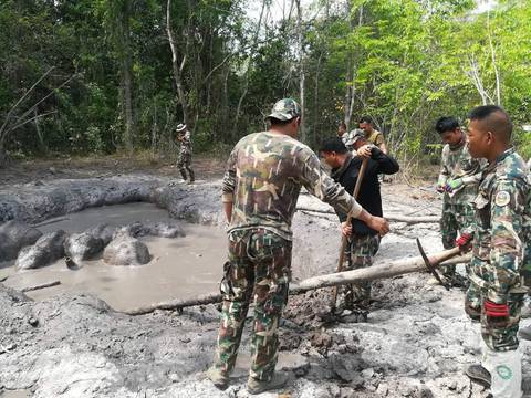 Elefantes son rescatados del lodo en Tailandia