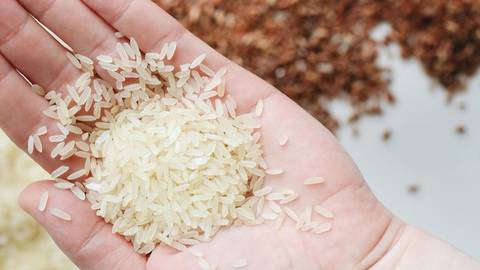 Cuál es el tipo de arroz que se puede comer en la noche según recomiendan los nutricionistas