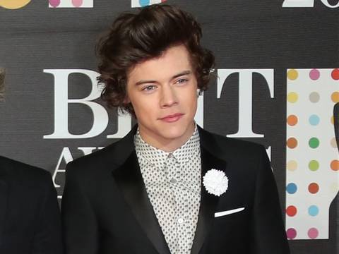 Harry Styles, de One Direction, dice que el género no es importante a la hora de buscar pareja