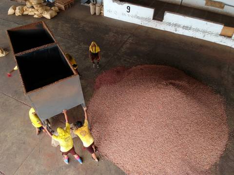 Pese a crisis logística global, Ecuador proyecta exportar 15.000 toneladas más de cacao en 2022 