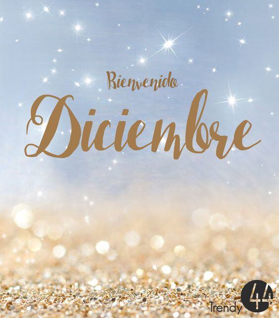 Las mejores imágenes y frases de 'Bienvenido, diciembre' en este 2022 | Sociedad | La Revista | El Universo Las mejores imágenes y frases de 'Bienvenido, diciembre' en este 2022 | Sociedad | La Revista | El Universo