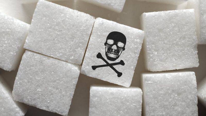 Del blanco a la panela: los 19 tipos de azúcar más comunes, en qué se  diferencian y cómo usarlos en cocina