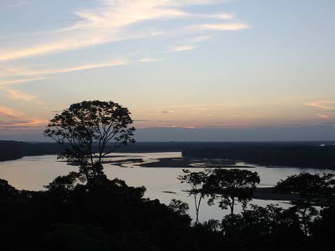 El medioambiente vuelve  a segundo plano