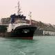 Miles de animales se encuentran en los barcos bloqueados por el Ever Given en el Canal de Suez
