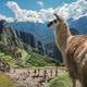 Machu Picchu es el primer destino carbono neutral del mundo