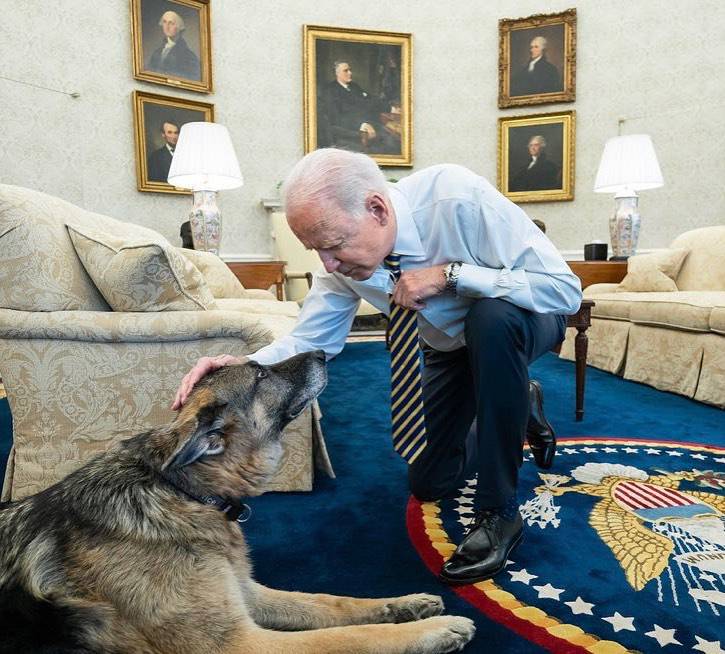 Joe Biden queer sin perros en Casa Blanca luego de que atacaran a un guardaespaldas |  Intercultural |  Notice