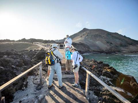 Aves enfermas en dos islas de Galápagos llevan a activar protocolos sanitarios de emergencia