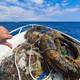 En Manta, grupos recogieron 632 kilos de basura en el mar