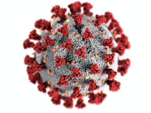 Cuáles son los países en los que se ha detectado la nueva cepa de coronavirus