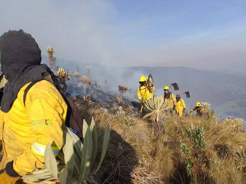 Incendio se mantiene en la Reserva Ecológica El Ángel y ya ha afectado 900 hectáreas 