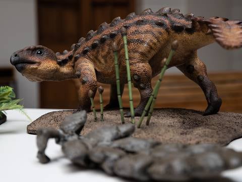 Paleontólogos revelan que algunos dinosaurios tenían ‘ombligo’