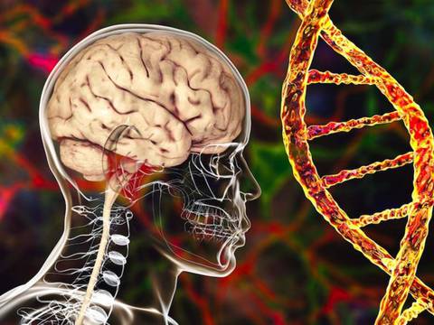 Identifican nuevas variantes genéticas que duplican el riesgo de padecer Alzheimer