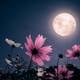 La luna llena de flores es el evento astronómico más importante de mayo