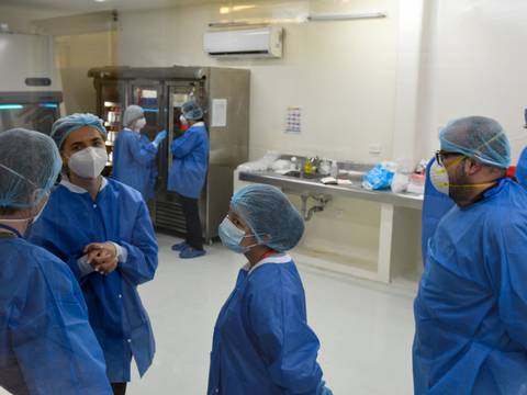 Cinco virólogos alemanes enseñan a tomar pruebas de COVID-19 en Guayaquil