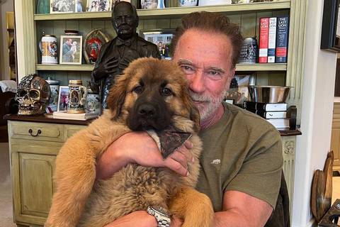 Por qué Arnold Schwarzenegger reparte cientos de regalos cada Navidad desde hace 30 años: Así fue su jornada estilo “Santa Claus” del actor este 2023